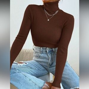 Brown Ribbed Turtleneck Sweater